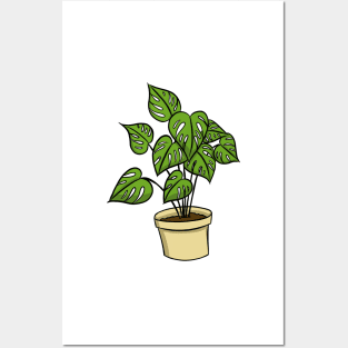 Cheese plant Posters and Art